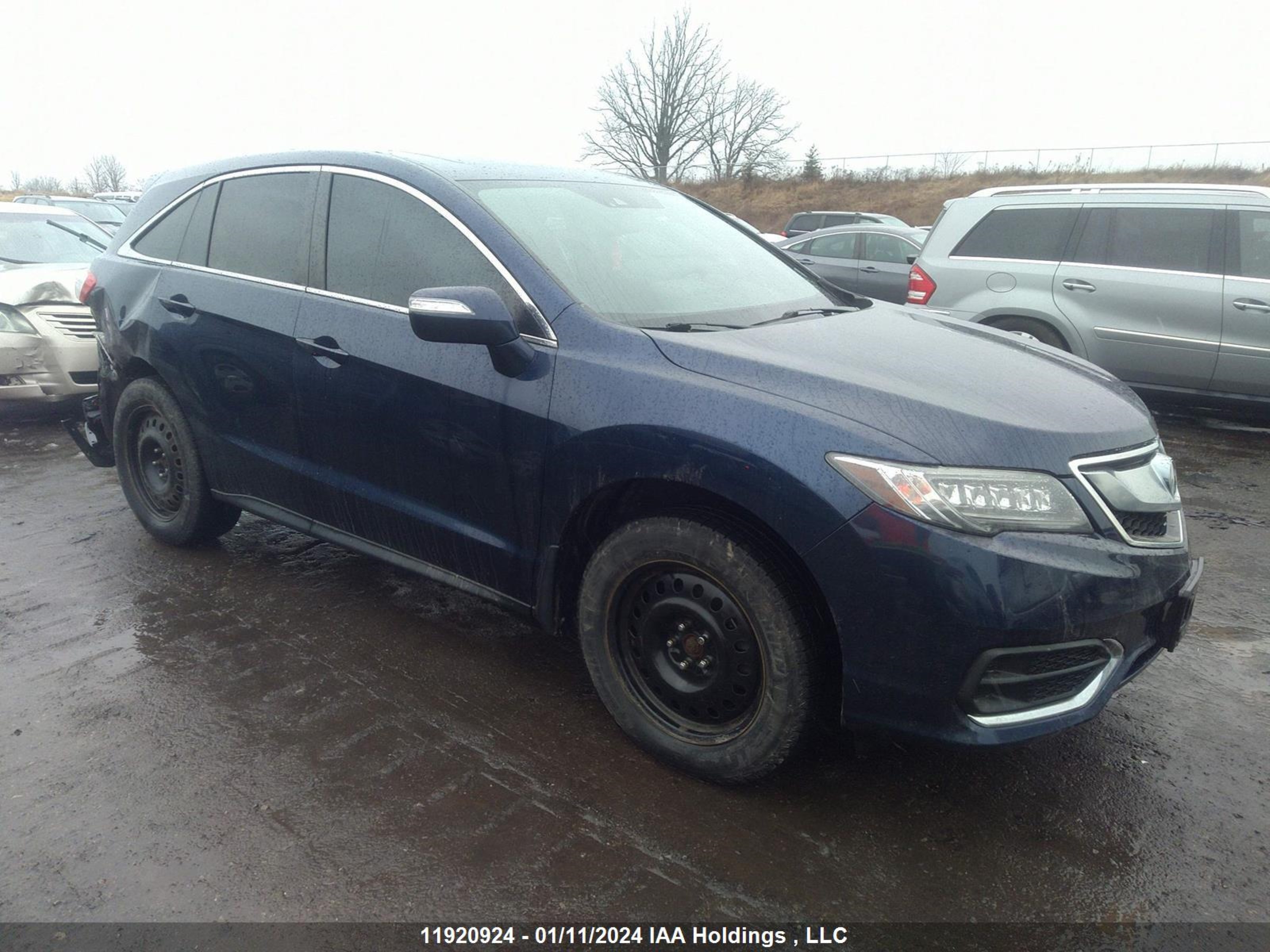 ACURA RDX 2017 5j8tb4h53hl809535