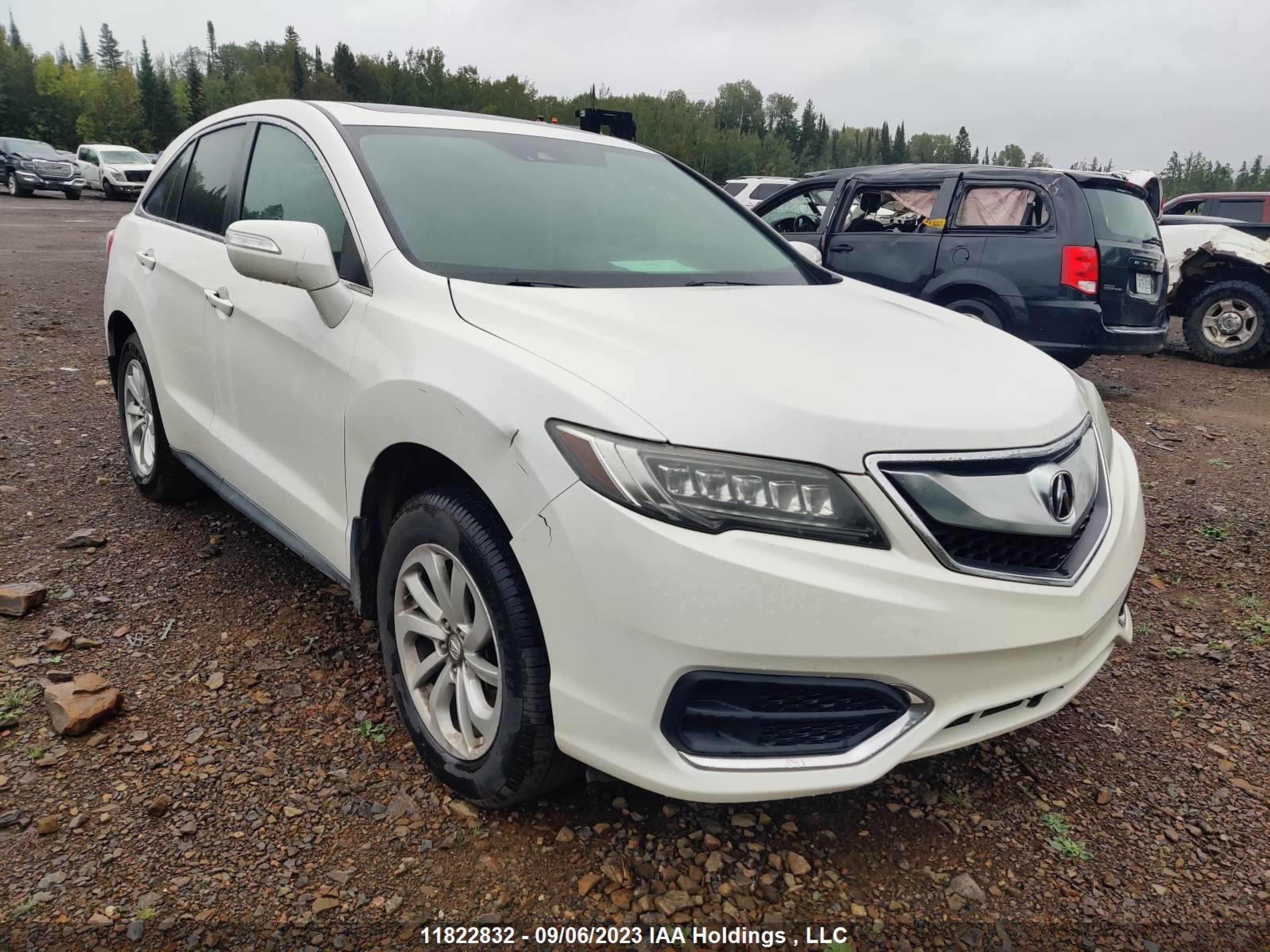 ACURA RDX 2016 5j8tb4h54gl800695