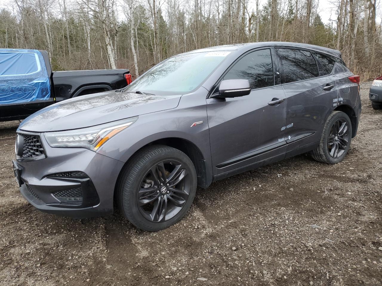 ACURA RDX 2020 5j8tc2h69ll801667