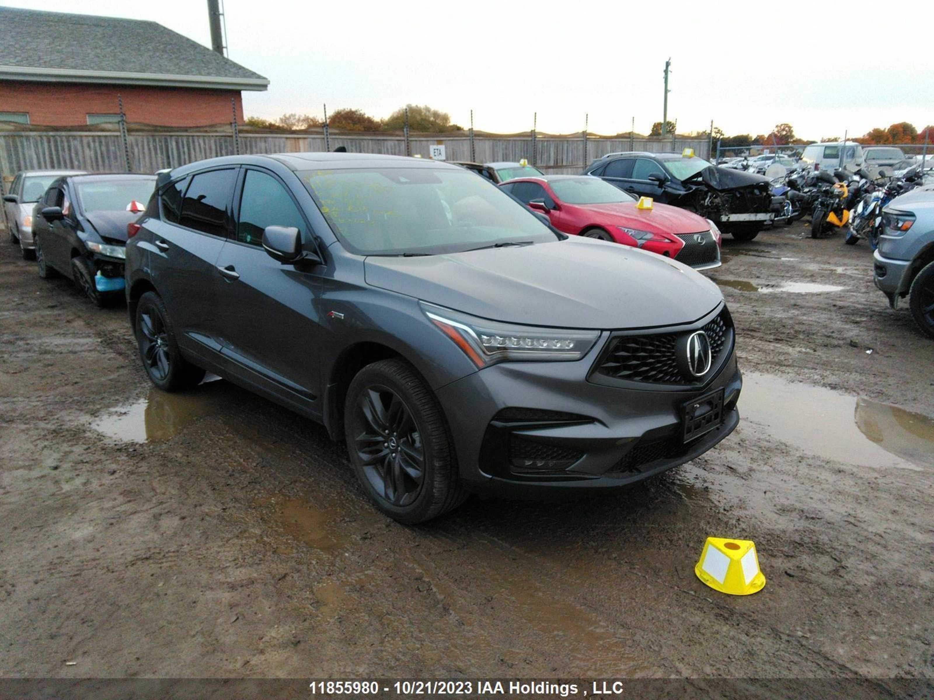 ACURA RDX 2020 5j8tc2h69ll807341