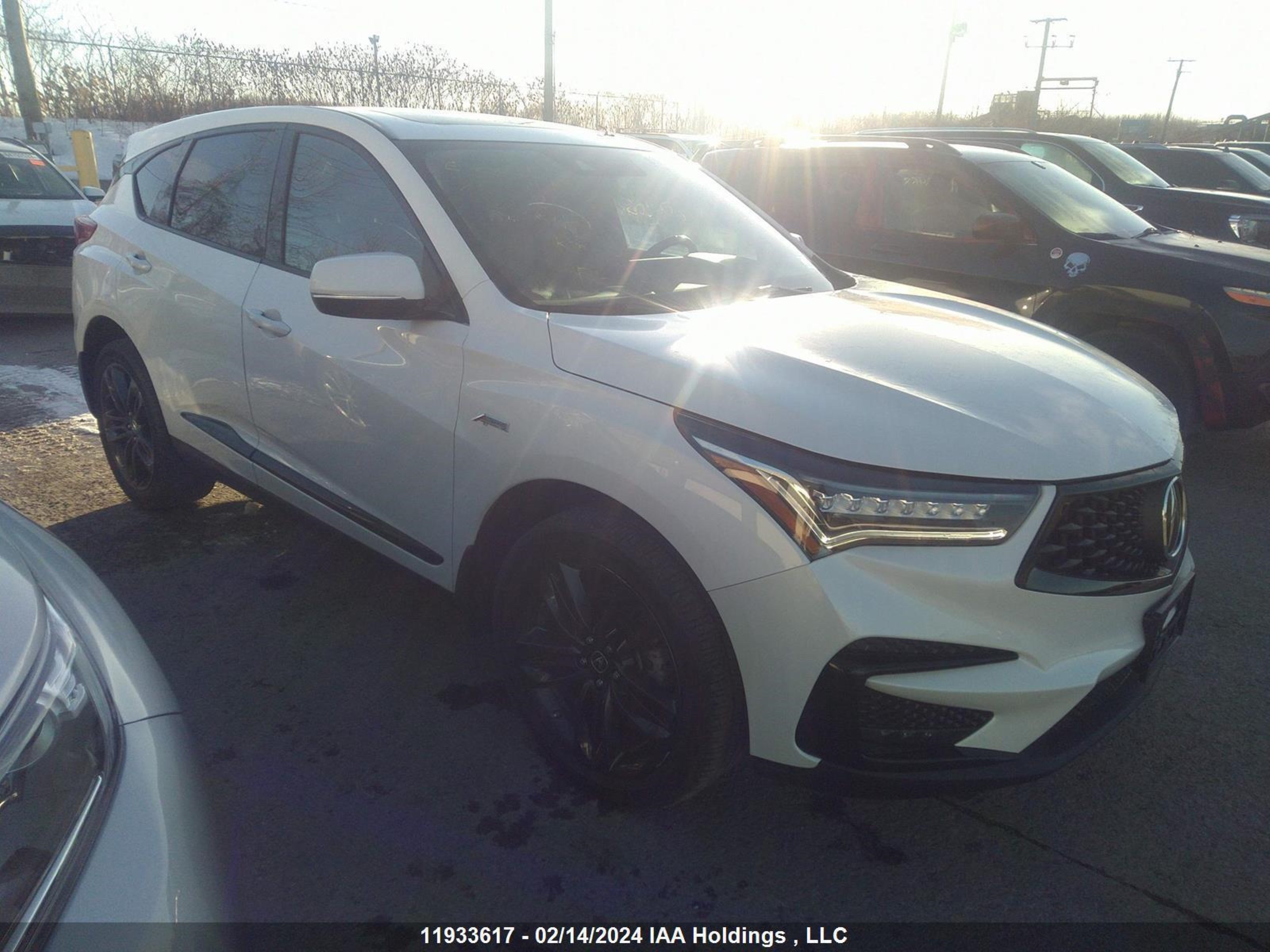 ACURA RDX 2020 5j8tc2h6xll804366