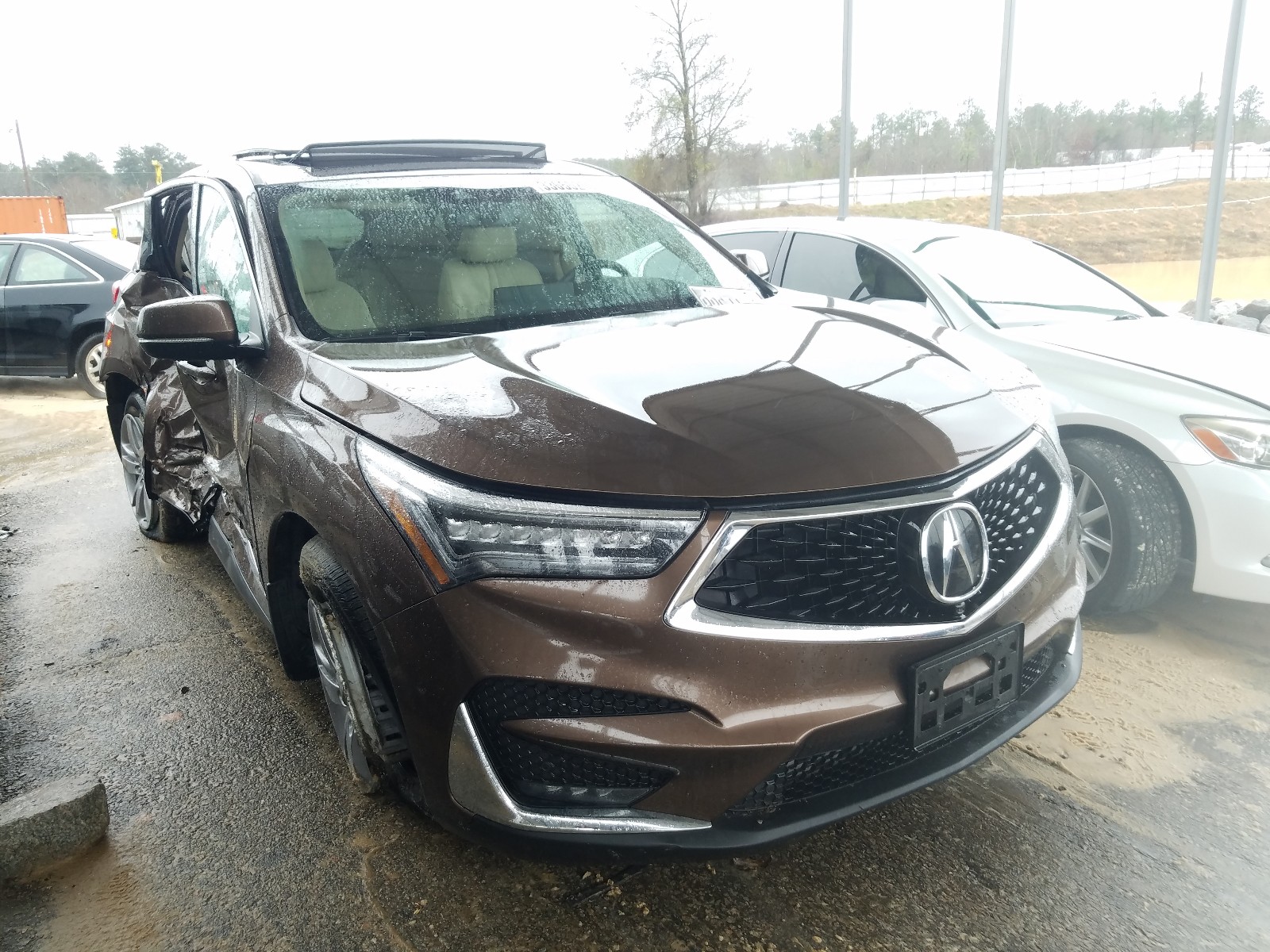 ACURA RDX ADVANC 2019 5j8tc2h75kl025710