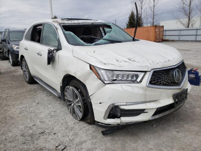 ACURA MDX TECHNO 2019 5j8yd4h46kl804652