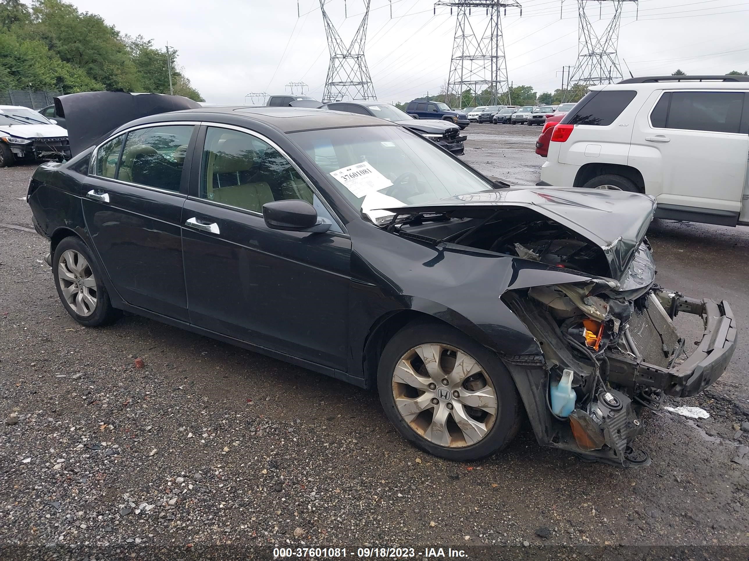 HONDA ACCORD 2009 5kbcp36879b001864