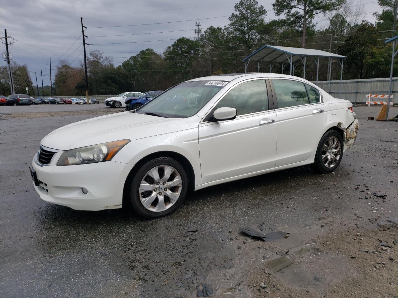 HONDA ACCORD 2009 5kbcp36889b502195