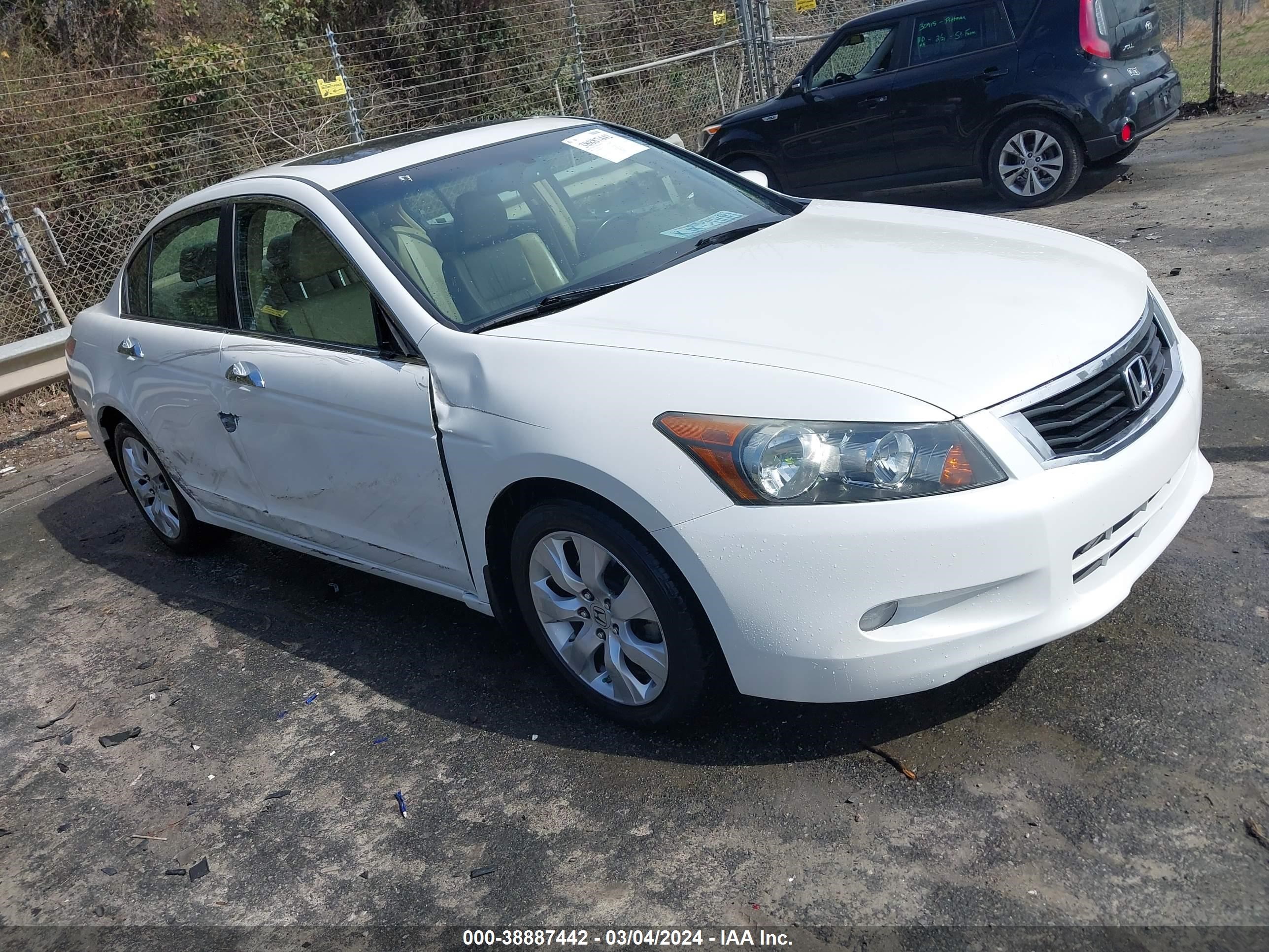 HONDA ACCORD 2009 5kbcp36899b002191