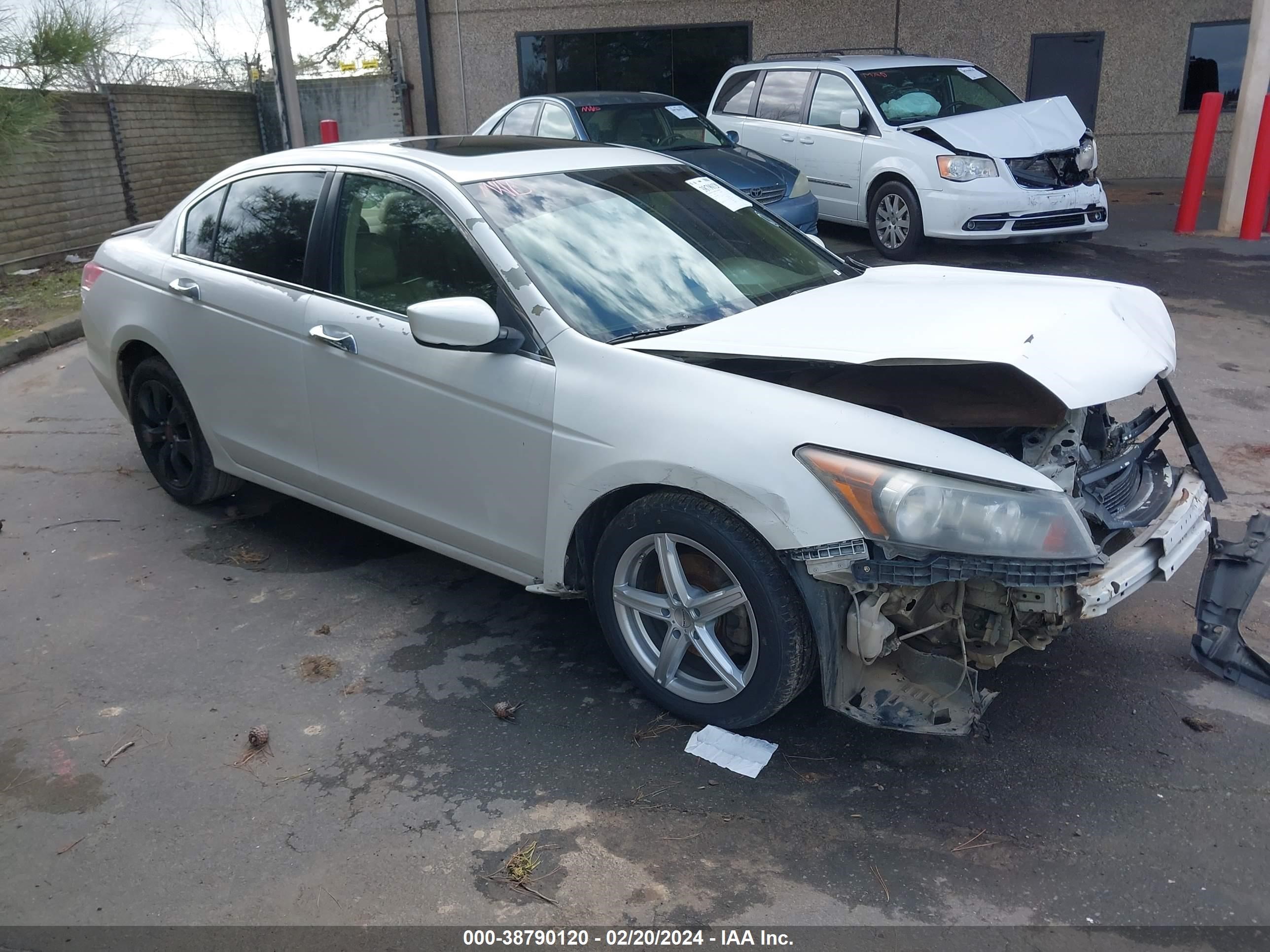 HONDA ACCORD 2009 5kbcp368x9b002992