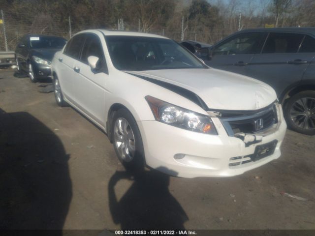 HONDA ACCORD SDN 2010 5kbcp3f70ab008277