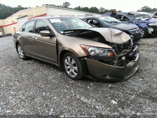 HONDA ACCORD SDN 2010 5kbcp3f71ab009633