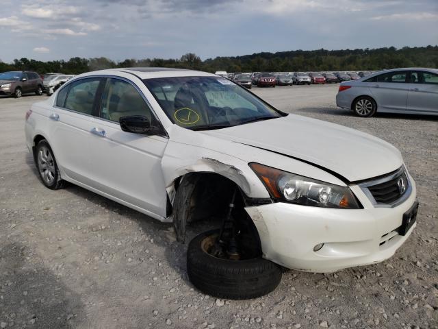 HONDA ACCORD EX 2010 5kbcp3f71ab010734