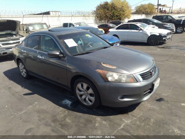 HONDA ACCORD SDN 2010 5kbcp3f74ab009075