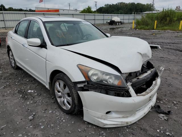 HONDA ACCORD EX 2010 5kbcp3f74ab010730