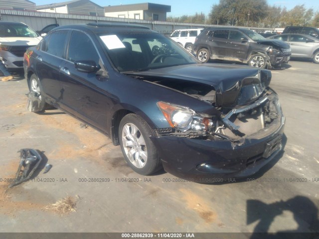 HONDA ACCORD SDN 2010 5kbcp3f74ab015605