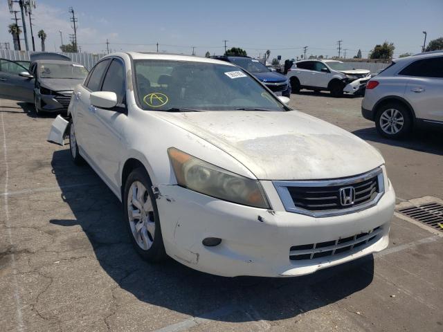 HONDA ACCORD EX 2010 5kbcp3f75ab008257