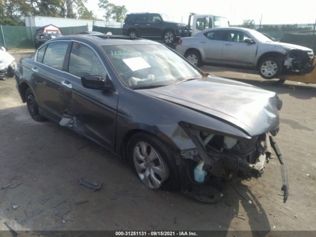 HONDA ACCORD SDN 2010 5kbcp3f77ab008986