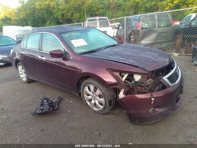 HONDA ACCORD SDN 2010 5kbcp3f7xab006892