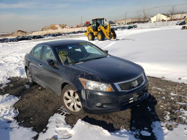 HONDA ACCORD 2010 5kbcp3f80ab001662