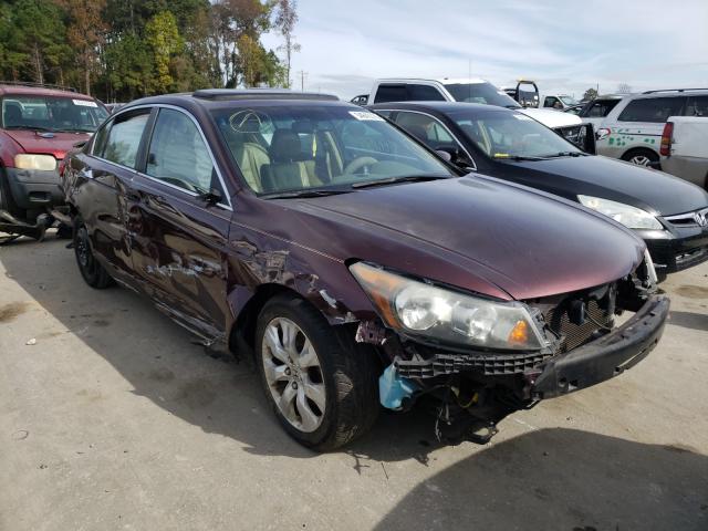 HONDA ACCORD EXL 2010 5kbcp3f80ab004139