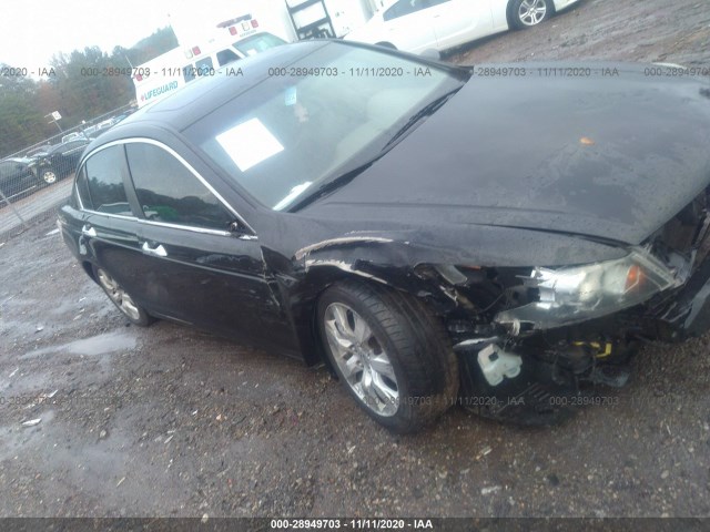 HONDA ACCORD SDN 2010 5kbcp3f80ab005436