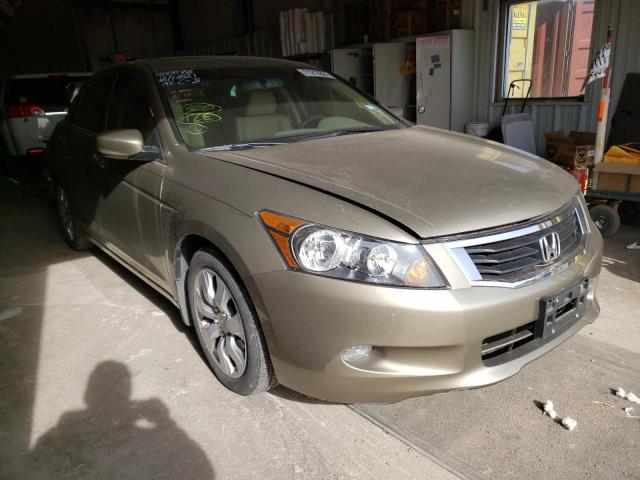 HONDA ACCORD EXL 2010 5kbcp3f80ab008725