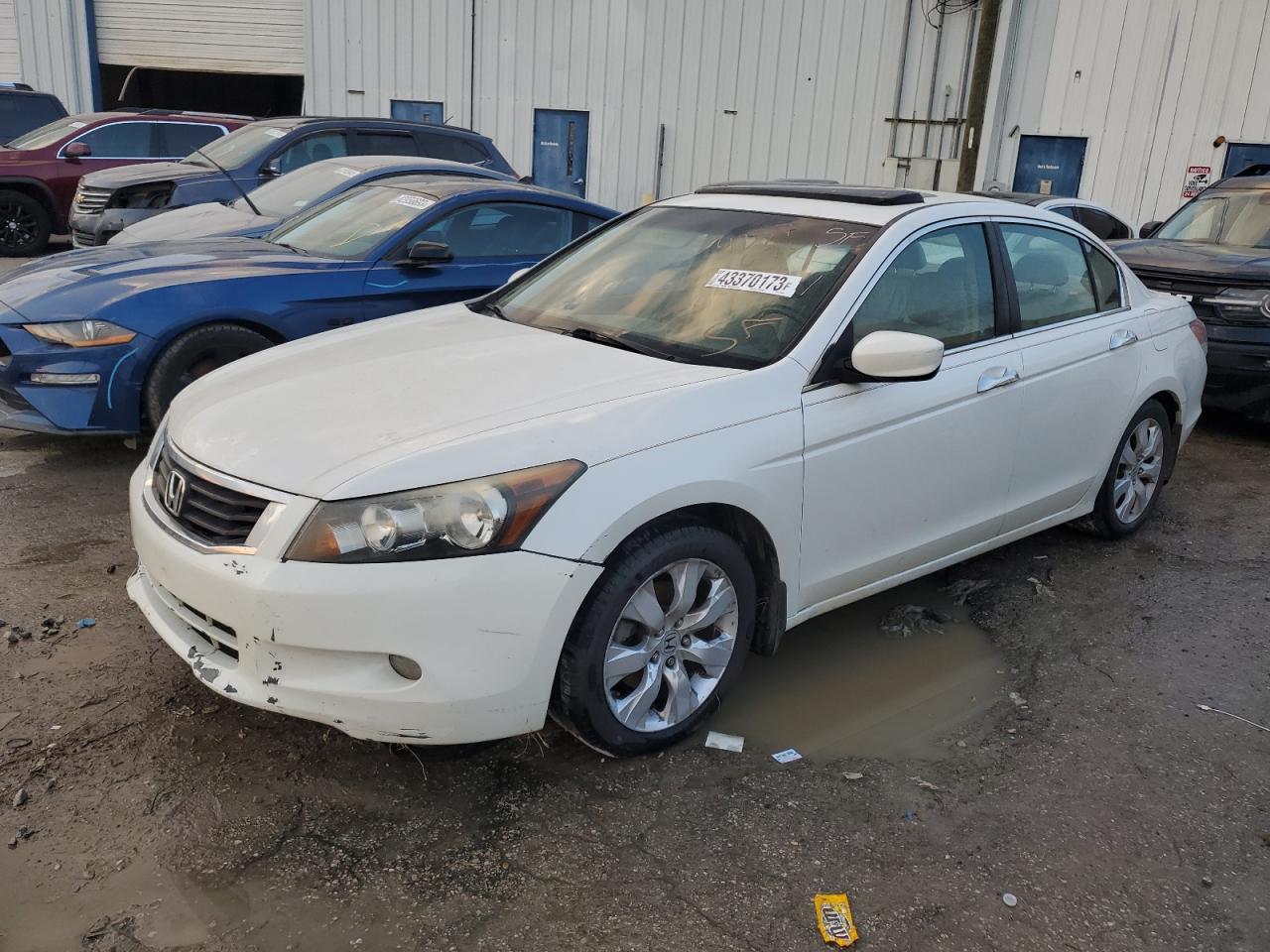 HONDA ACCORD 2010 5kbcp3f80ab010040