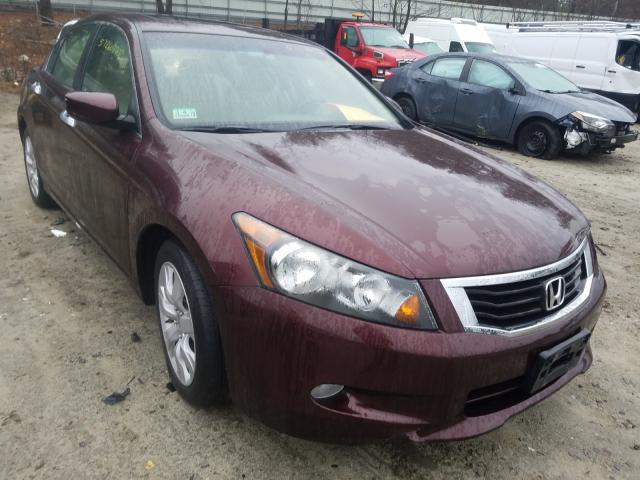 HONDA ACCORD EXL 2010 5kbcp3f80ab011060