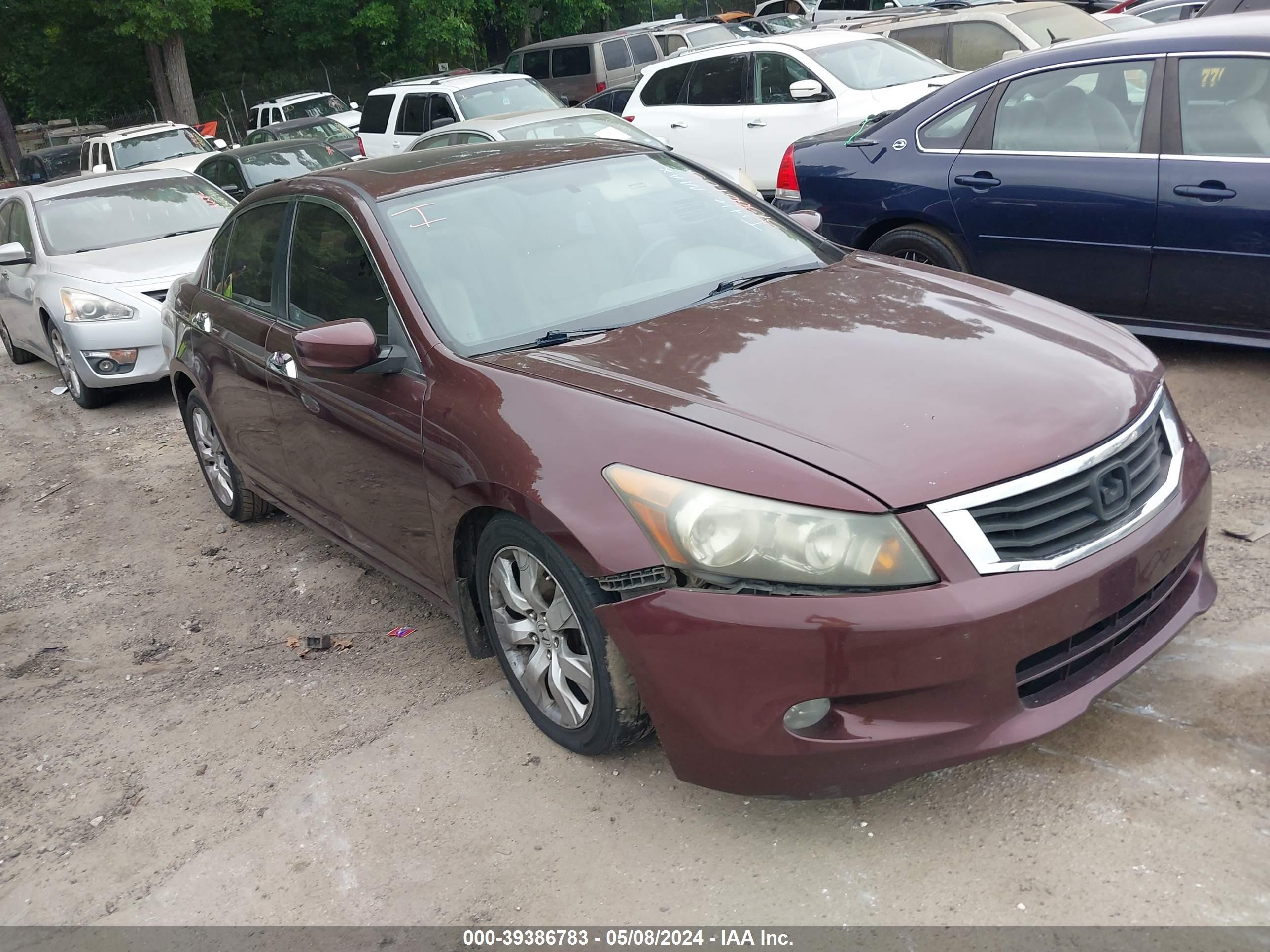 HONDA ACCORD 2010 5kbcp3f80ab013259