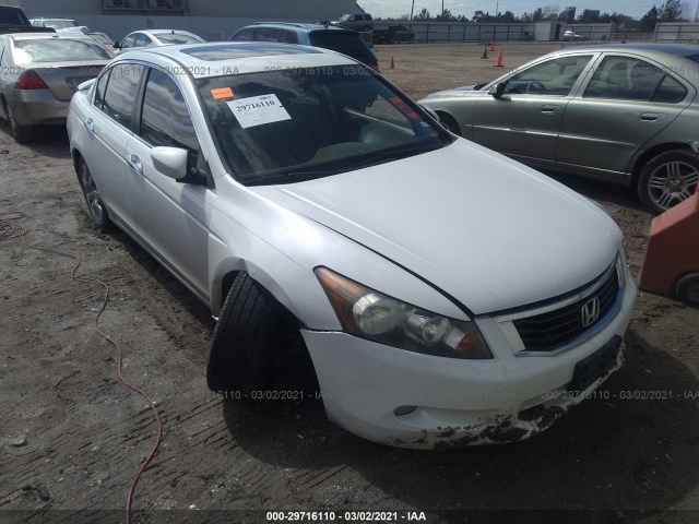 HONDA ACCORD SDN 2010 5kbcp3f80ab013990