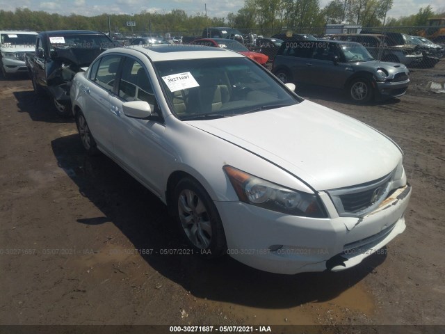 HONDA ACCORD SDN 2010 5kbcp3f80ab014492