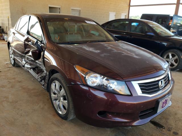 HONDA ACCORD EXL 2010 5kbcp3f80ab015187