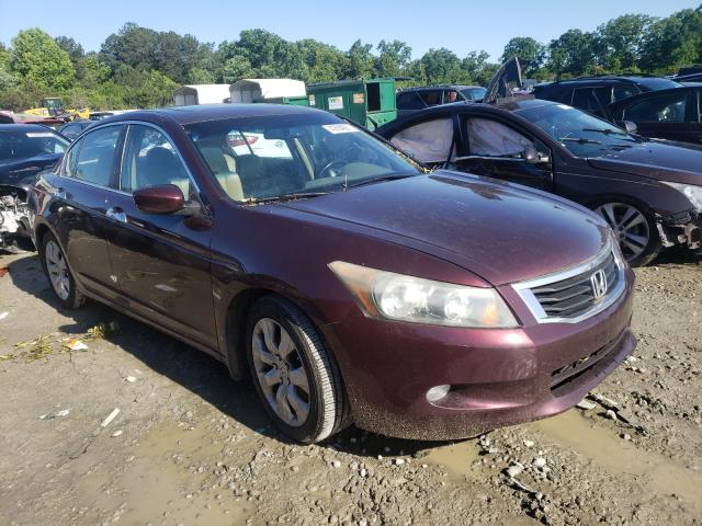 HONDA ACCORD EXL 2010 5kbcp3f80ab018929