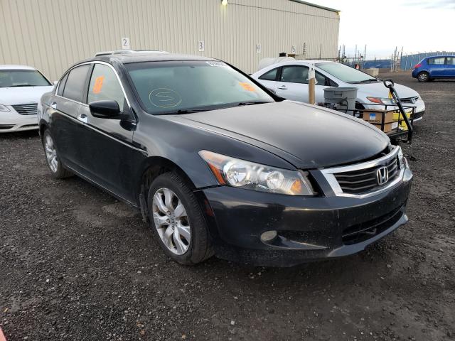 HONDA ACCORD EXL 2010 5kbcp3f80ab501501