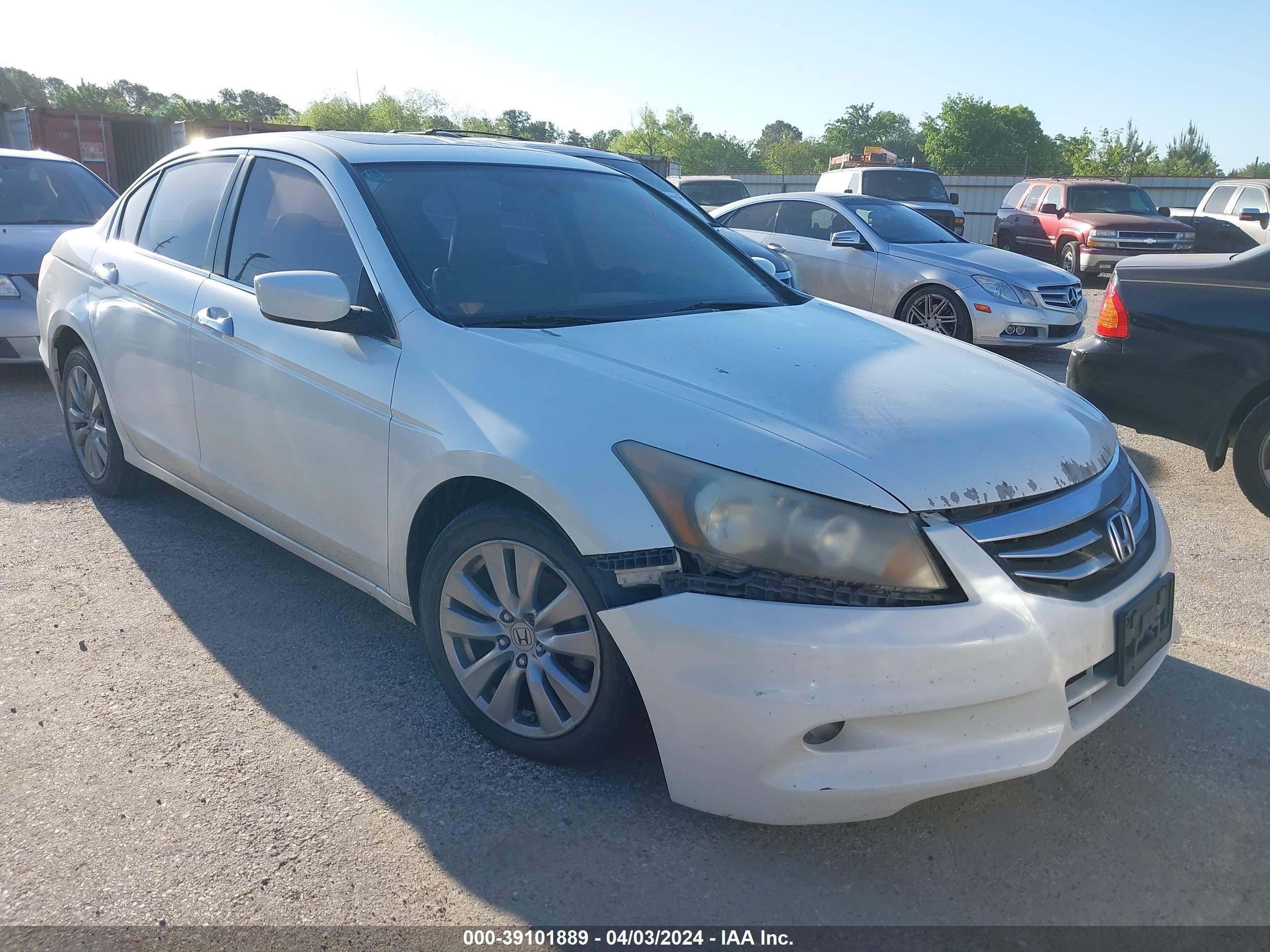 HONDA ACCORD 2011 5kbcp3f80bb003428