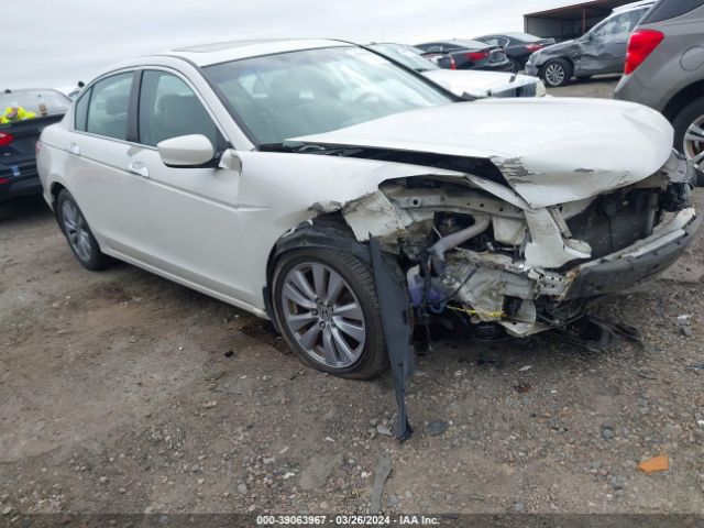 HONDA ACCORD 2011 5kbcp3f80bb004238