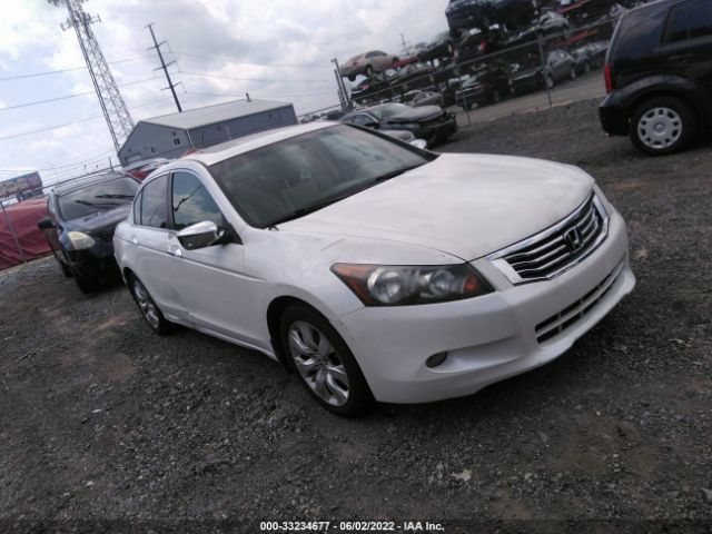 HONDA ACCORD SDN 2010 5kbcp3f81ab001203