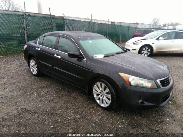 HONDA ACCORD SDN 2010 5kbcp3f81ab002948