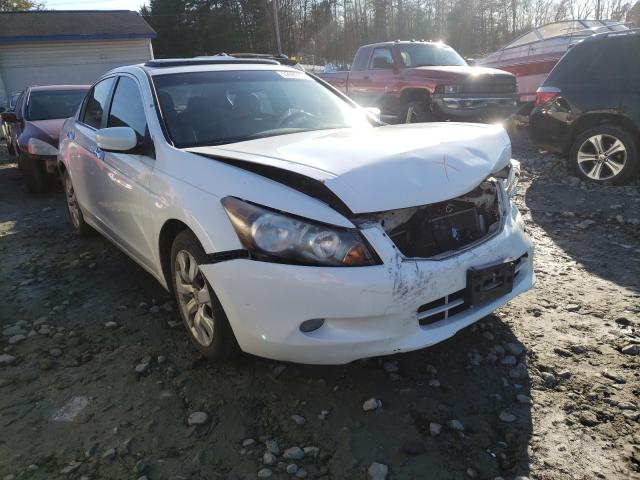 HONDA ACCORD EXL 2010 5kbcp3f81ab003226