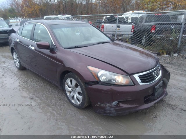 HONDA ACCORD SDN 2010 5kbcp3f81ab004182