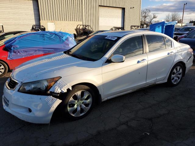 HONDA ACCORD 2010 5kbcp3f81ab005400