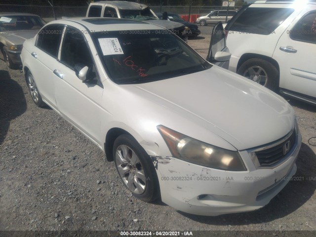 HONDA ACCORD SDN 2010 5kbcp3f81ab005414