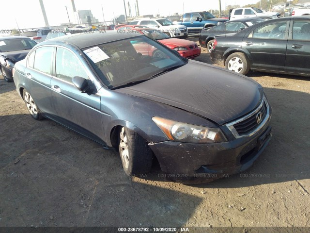 HONDA ACCORD SDN 2010 5kbcp3f81ab010273