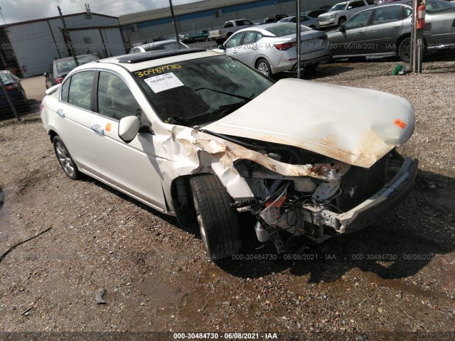 HONDA ACCORD SDN 2010 5kbcp3f81ab010807