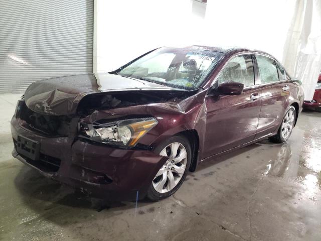 HONDA ACCORD EXL 2010 5kbcp3f81ab010970