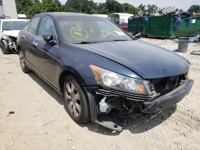 HONDA ACCORD EXL 2010 5kbcp3f81ab011391