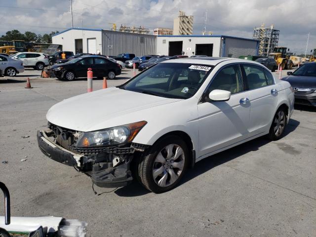 HONDA ACCORD 2010 5kbcp3f81ab011598