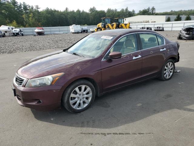 HONDA ACCORD 2010 5kbcp3f81ab011830