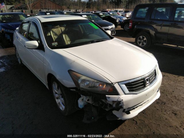 HONDA ACCORD SDN 2010 5kbcp3f81ab012878