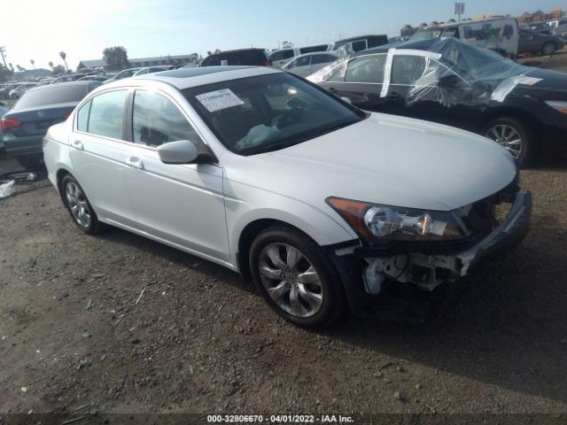 HONDA ACCORD SDN 2010 5kbcp3f81ab015070