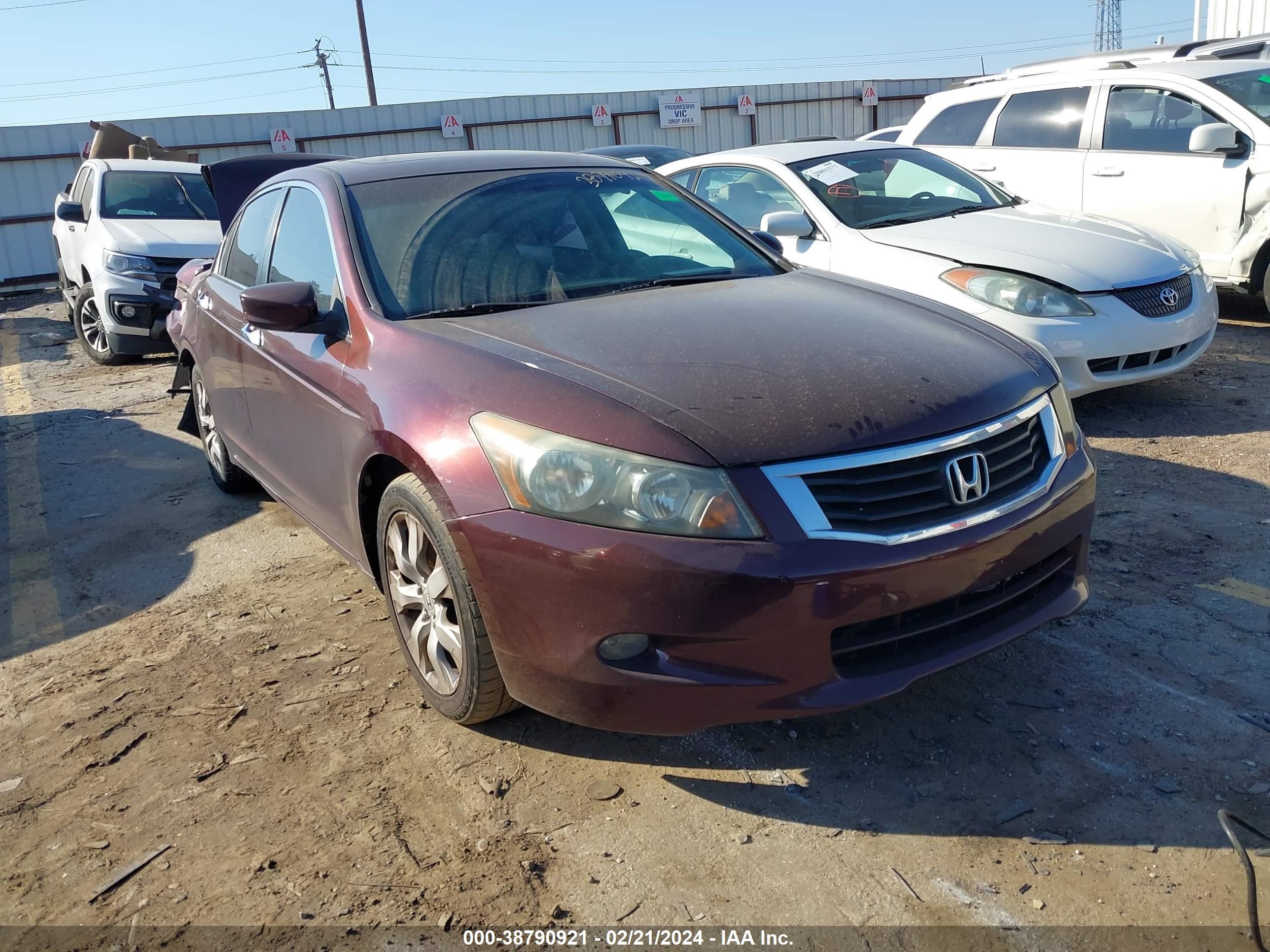 HONDA ACCORD 2010 5kbcp3f81ab017921