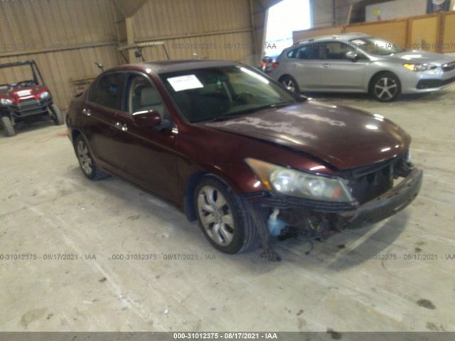 HONDA ACCORD SDN 2010 5kbcp3f81ab018664